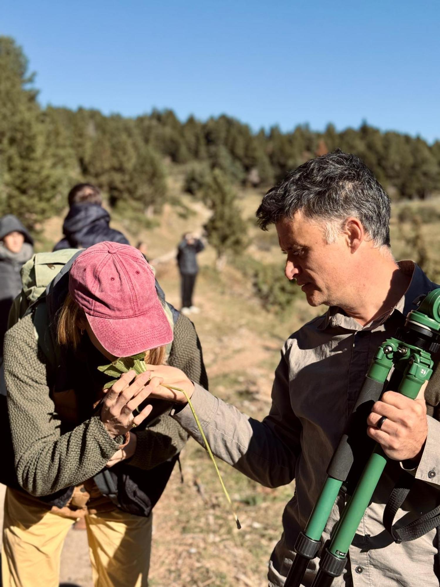 Basecamps Cerdanya * Caixans